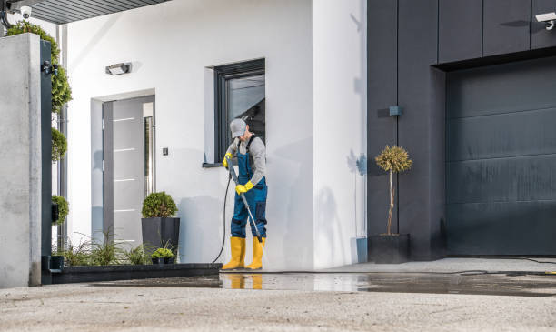 Best Rust Removal  in Shorewood, IL